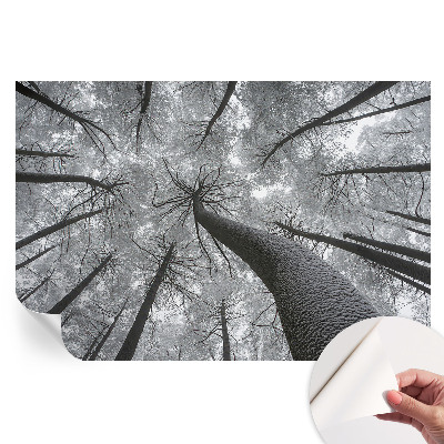Samoprzylepna fototapeta Zimowy pejzaż do salonu