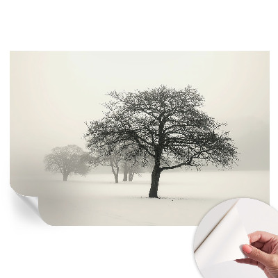 Samoprzylepna tapeta fotograficzna Zimowe drzewa