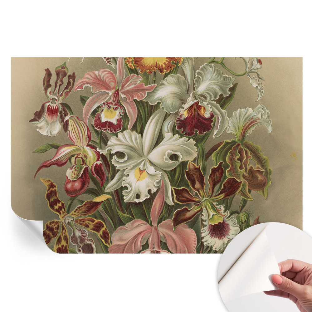 Tapeta fotograficzna samoprzylepna Kwiatowa elegancja