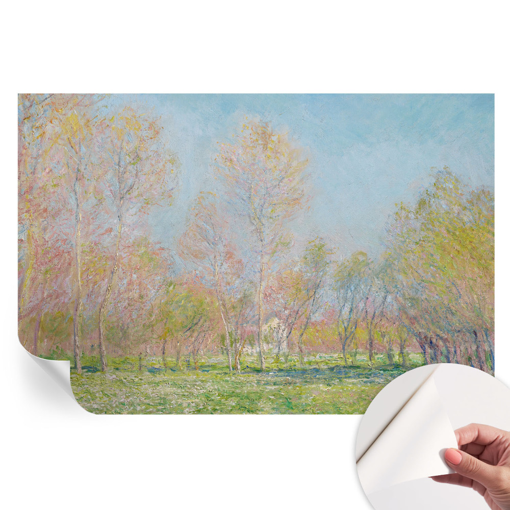 Samoprzylepna fototapeta na ścianę Wiosenny park