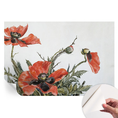 Samoprzylepna tapeta fotograficzna Czerwone maki