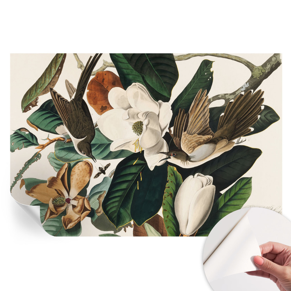 Samoprzylepna fototapeta do salonu z motywem ptaków i magnolii