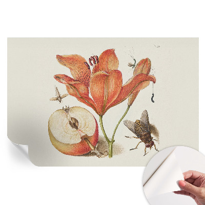 Nowoczesna fototapeta do salonu z motywem botanicznej ilustracji