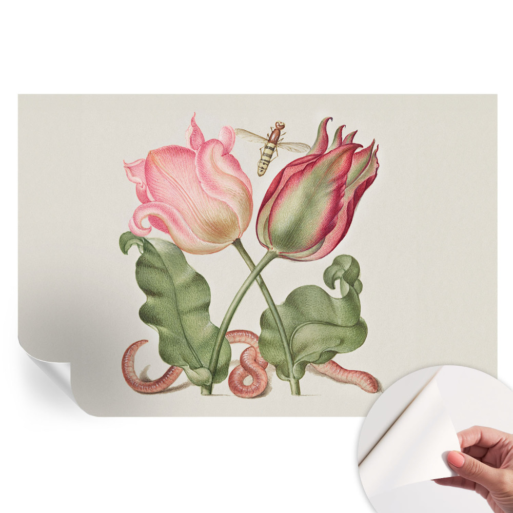 Samoprzylepna tapeta fotograficzna Tulipanowe piękno
