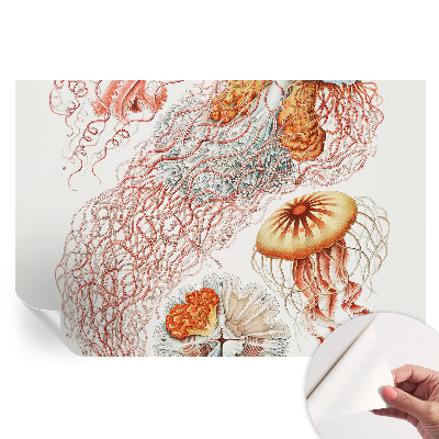 Samoprzylepna fototapeta Fantazyjne meduzy