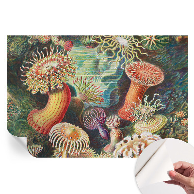 Samoprzylepna fototapeta Fantazyjne anemony do salonu