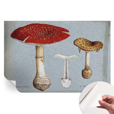Samoprzylepna fototapeta Grzybowe ryciny