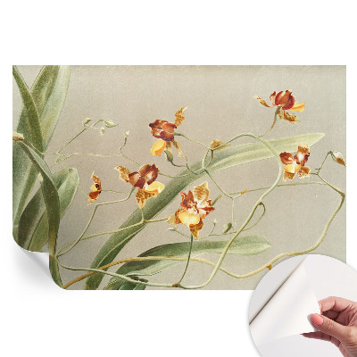 Samoprzylepna fototapeta na ścianę do salonu Orchidee klasyczne