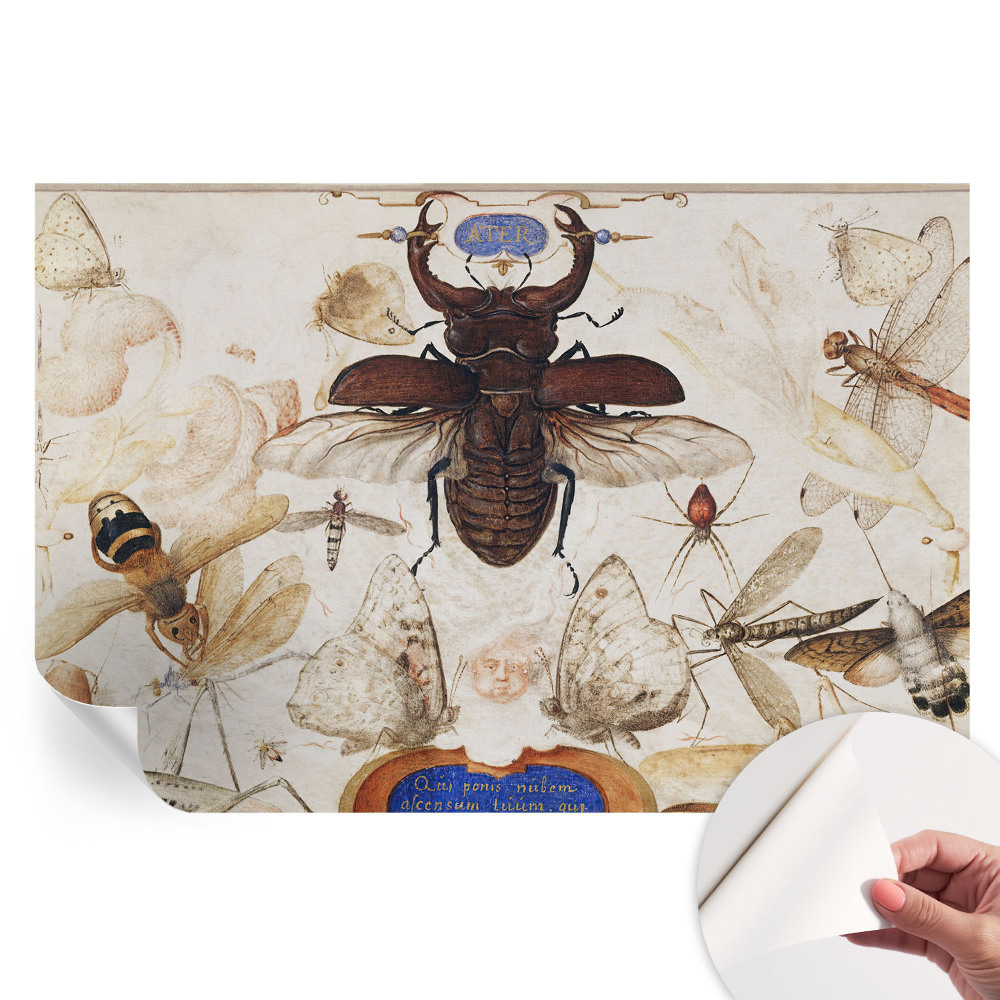 Samoprzylepna tapeta fotograficzna Naturalna harmonia