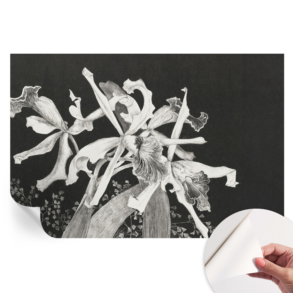 Samoprzylepna fototapeta na ścianę z ilustracją orchidei