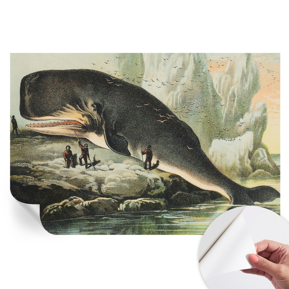 Samoprzylepna tapeta fotograficzna Morska gigantyczność