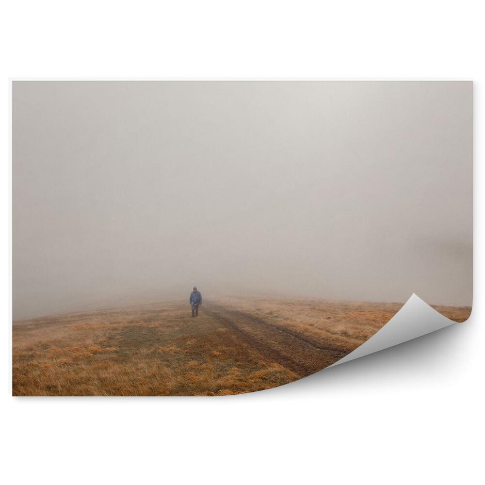 Okleina ścienna Człowiek polana ścieżka człowiek mgła