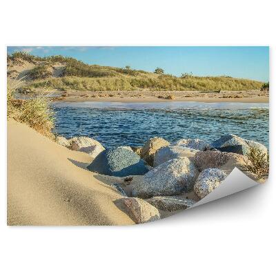 Fototapeta Skały niebo chmury trawa ocean plaża wydmy