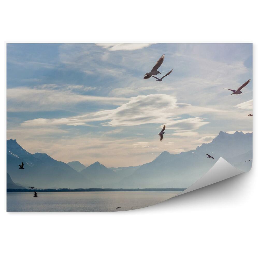 Okleina na ścianę Alpy jeziora genewa niebo chmury ptaki