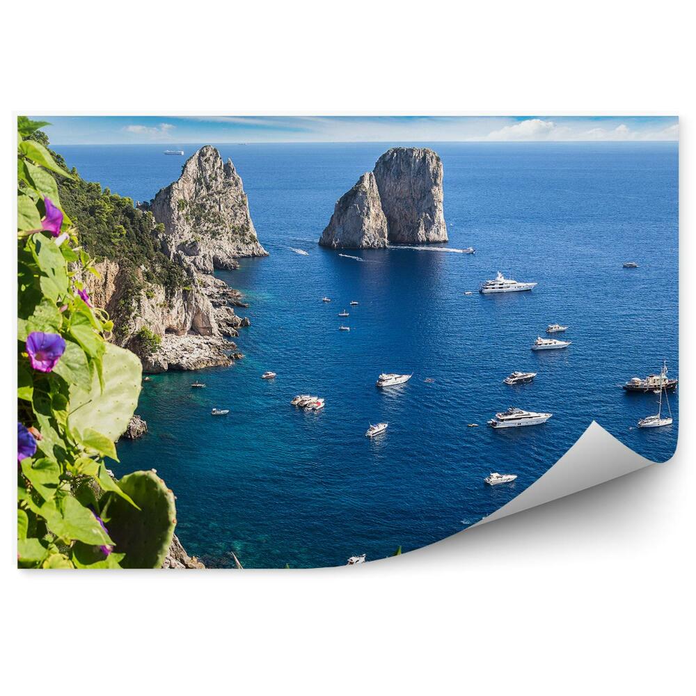 Fototapeta Włochy wyspa kwiaty statki skały