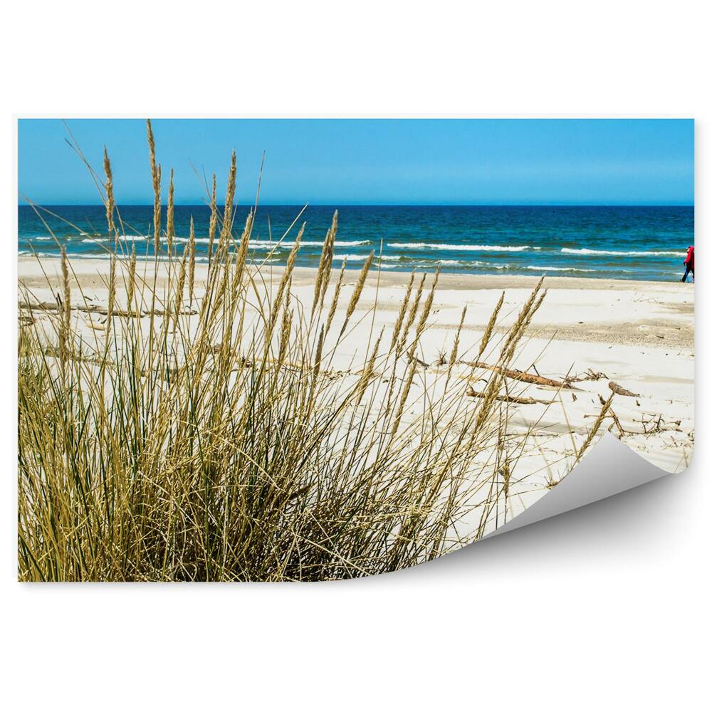 Okleina na ścianę Trawa wydmy morze plaża morze Bałtyckie