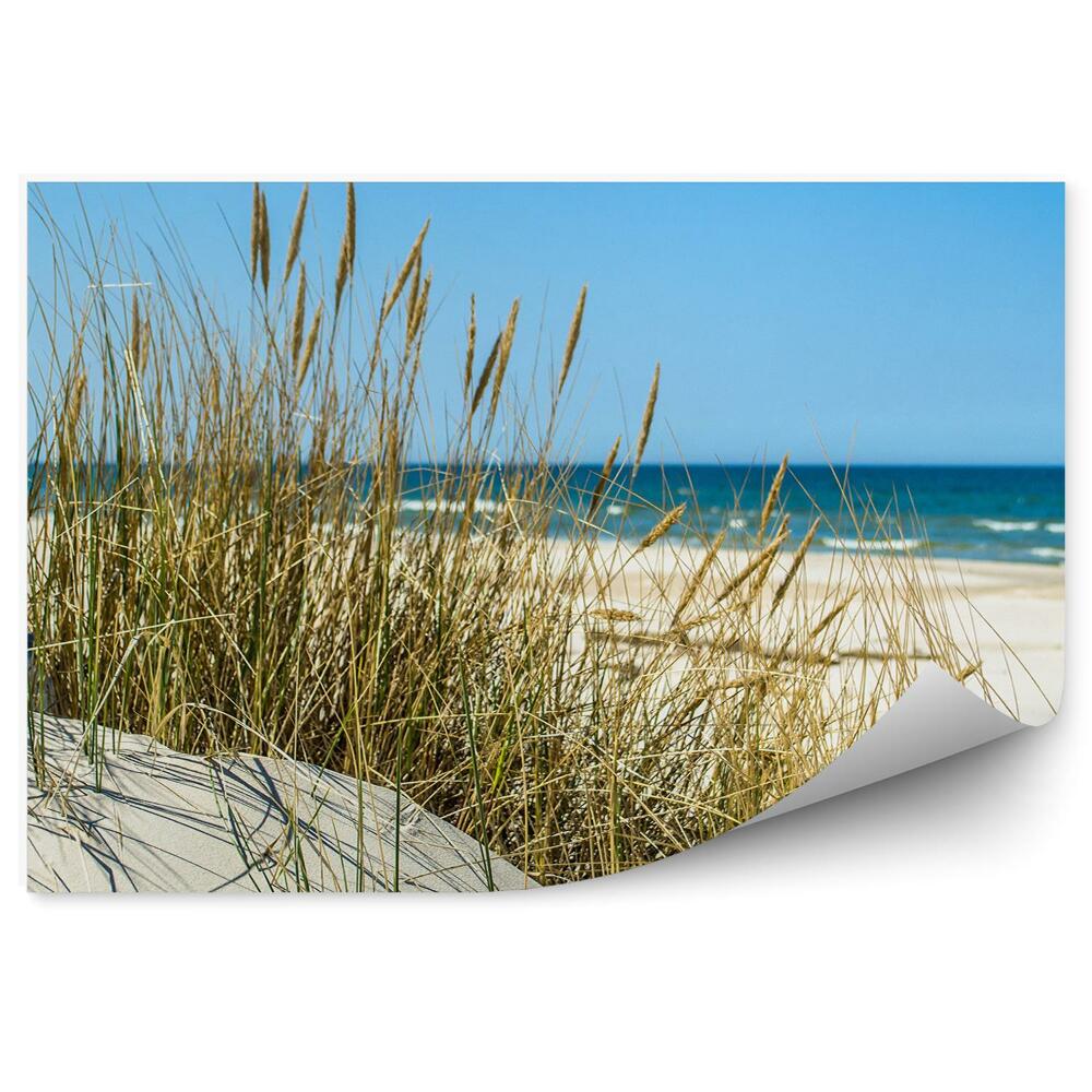 Okleina ścienna Trawa wydmy plaża morze bałtyckie niebo łeba