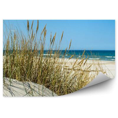 Okleina ścienna Trawa wydmy plaża morze bałtyckie niebo łeba