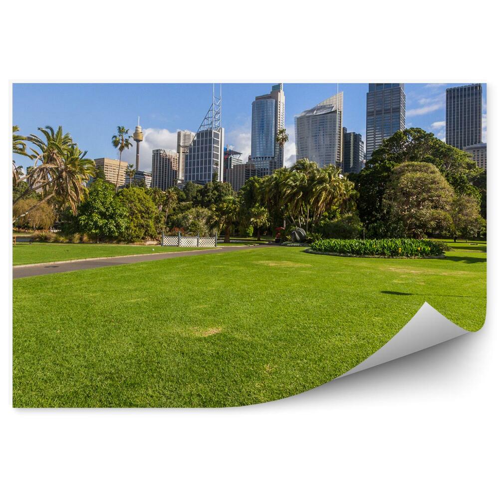 Okleina ścienna Sydney park zieleń palmy architektura