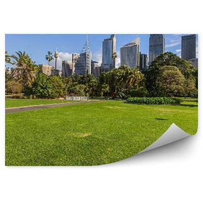Okleina ścienna Sydney park zieleń palmy architektura