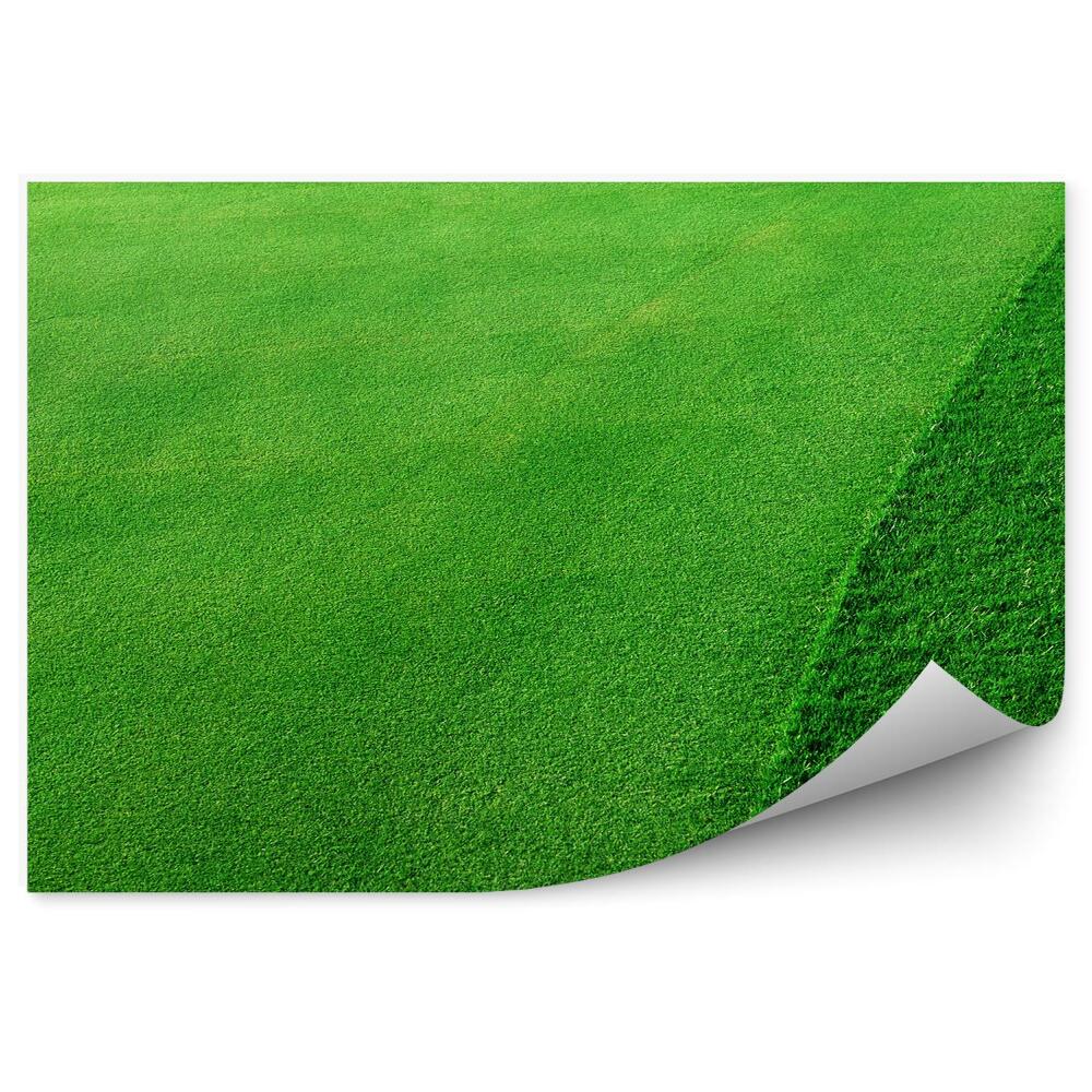 Okleina ścienna Pole golfowe zielona trawa skoszona