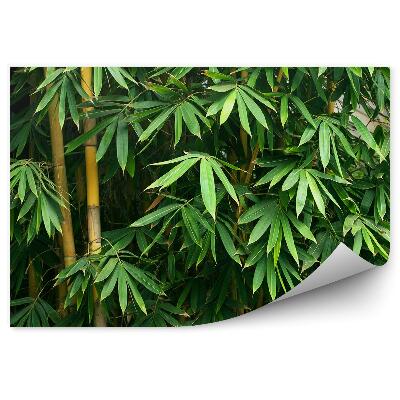 Okleina ścienna Bambus drzewa liście Azja