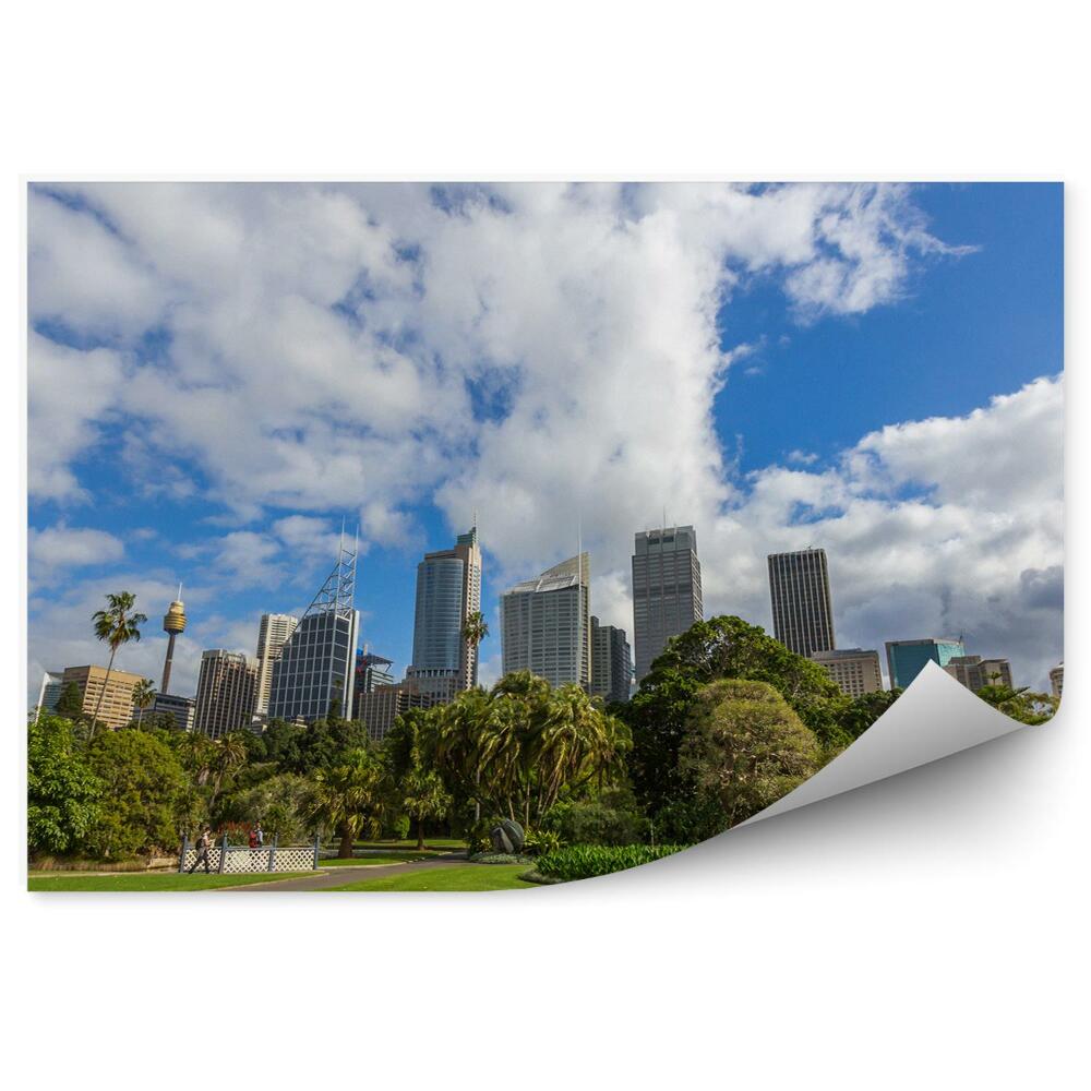 Okleina ścienna Sydney park drzewa miasto architektura