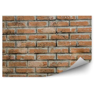 Fototapeta samoprzylepna Postarzała cegła