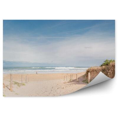 Fototapeta Plaża trawa wydmy ocean fale niebo chmury pieńki