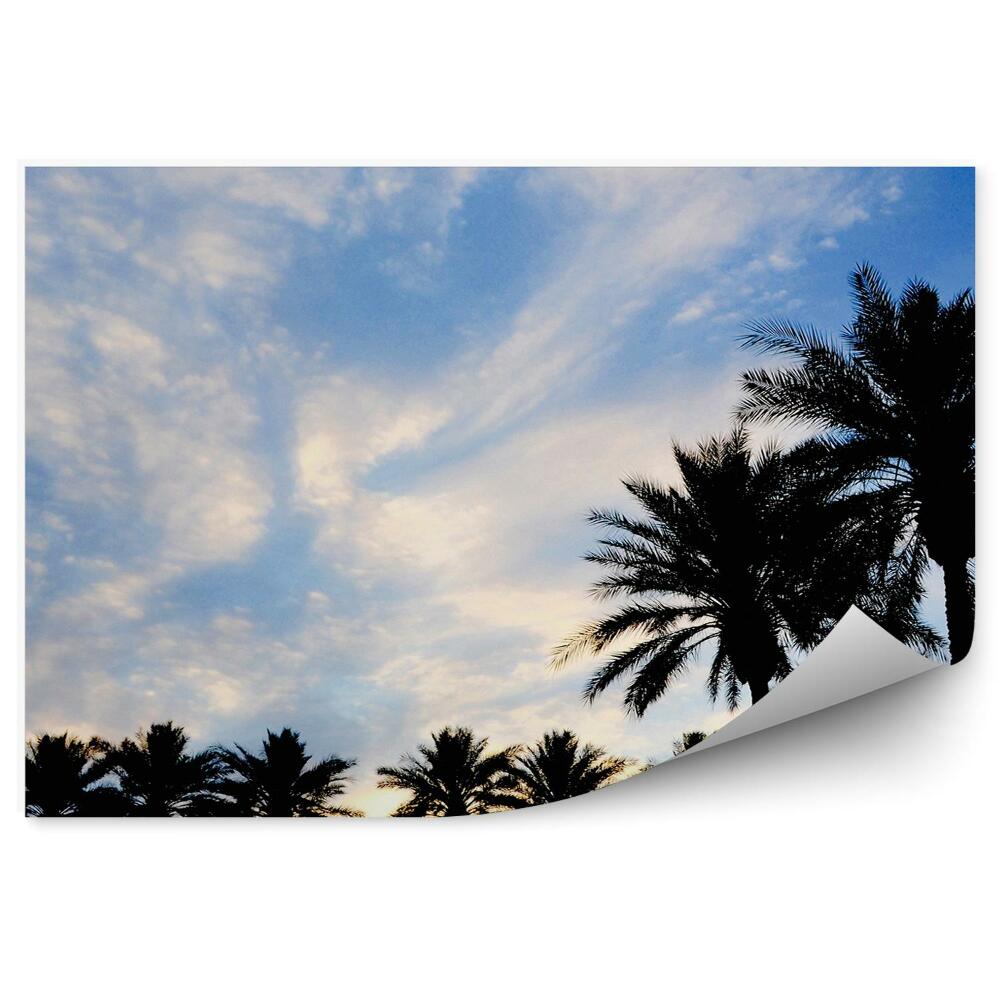 Fototapeta na ścianę Sylwetki palm o wschodzie słońca