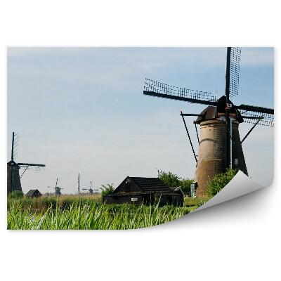 Okleina na ścianę Zielone trawy tradycyjne wiatraki wieś