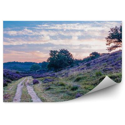 Fototapeta na ścianę Polna droga wśród wzgórz i wrzosowisk