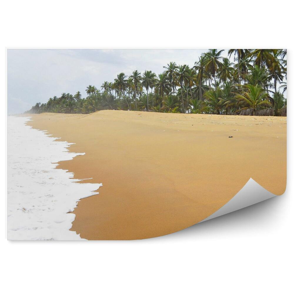 Fototapeta Tropik ocean plaża palmy wybrzeże kości słoniowej