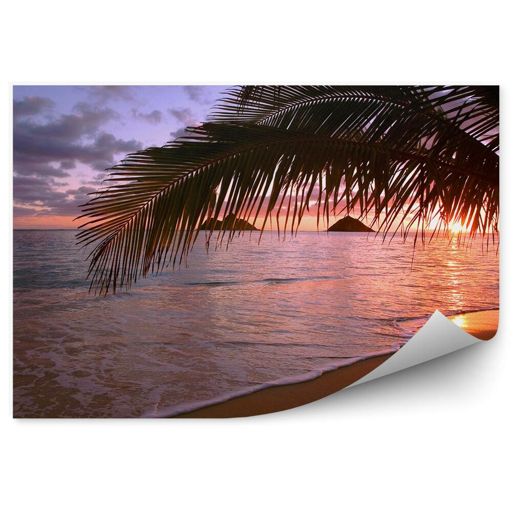 Fototapeta na ścianę ocean plaża skały zachód słońca palmy Hawaje