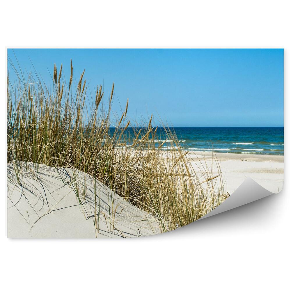 Okleina na ścianę Zbliżenie na trawę wydmy plaża Polska