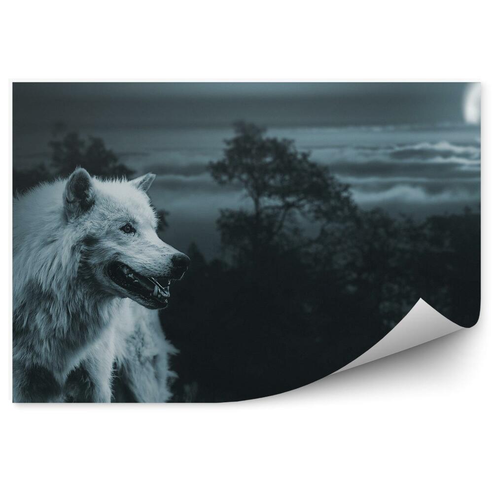 Fototapeta Biały wilk las drzewa księżyc niebo chmury