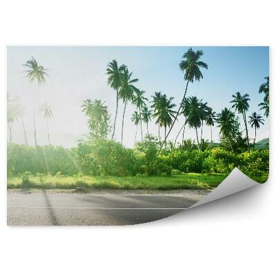 Fototapeta na ścianę pusta droga dżungla drzewa rośliny niebo chmury Seszele