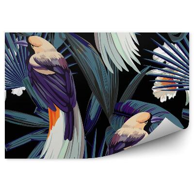 Fototapeta na ścianę Ptaki, orchidee i noc dżungli