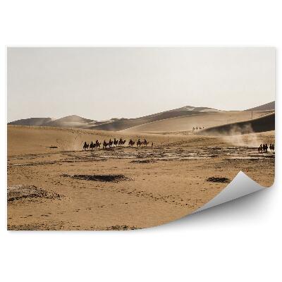 Okleina ścienna Pustynia gobi chiny wielbłądy niebo