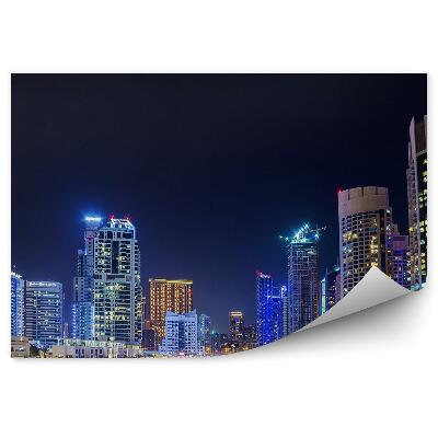 Fototapeta Panorama miasta wieżowce rzeka palmy niebo