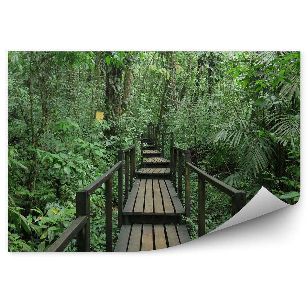 Okleina ścienna Drewniany most w środku lasu zieleń podróże