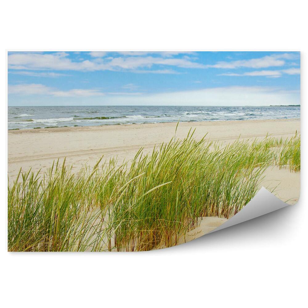 Okleina na ścianę trawa wydmy plaża Polska Bałtyk