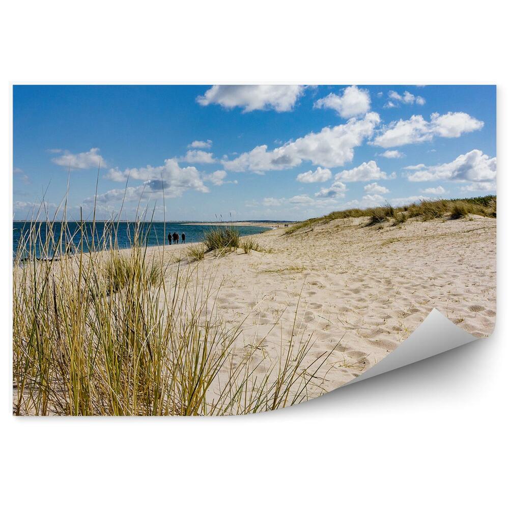 Fototapeta Plaża trawa ocean ludzie niebo chmury sylt niemcy