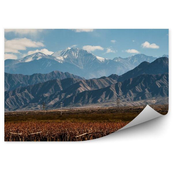 Okleina na ścianę Wulkan aconcagua winnica argentyna niebo chmury śnieg