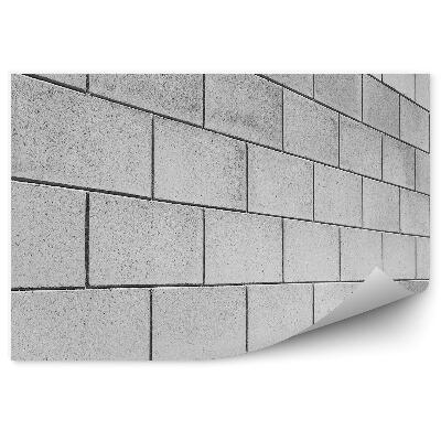 Fototapeta samoprzylepna Szary mur w perspektywie