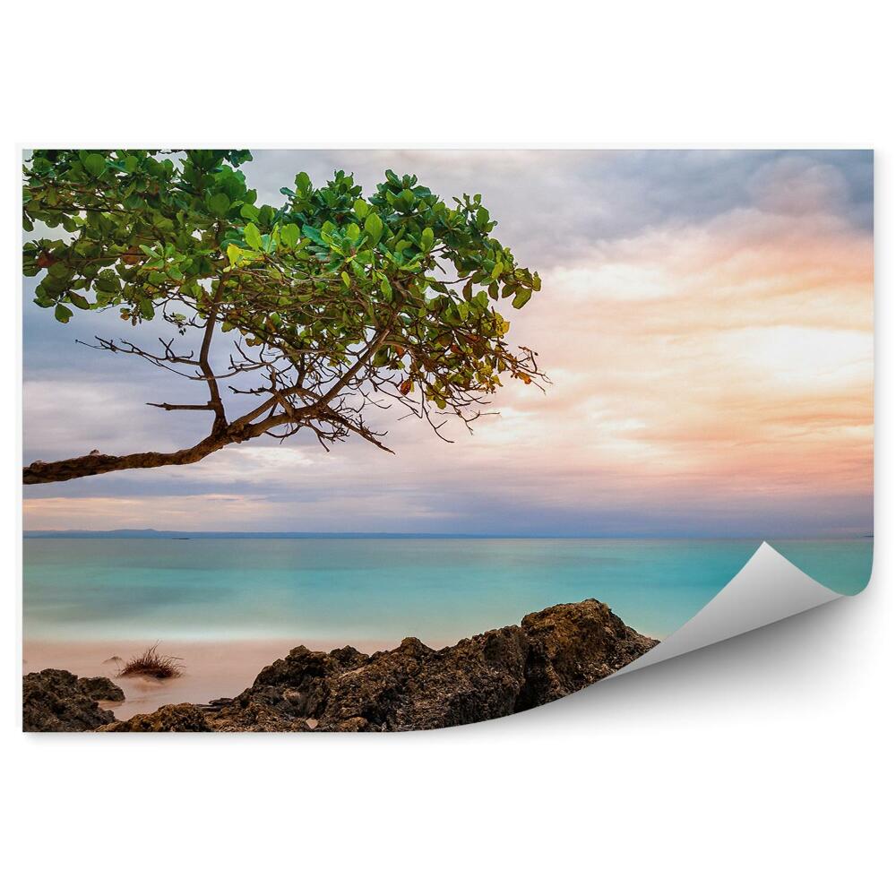 Okleina ścienna Egzotyczny krajobraz skały drzewo pochylone morze zachód słońca chmury