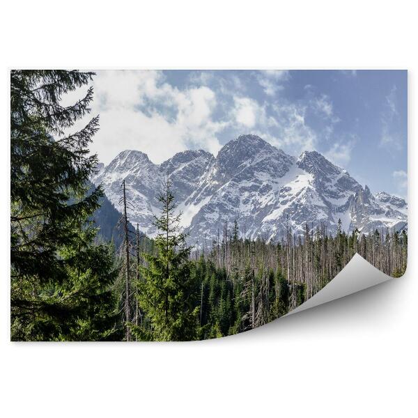 Fototapeta Rysy, zakopane, morskie oko