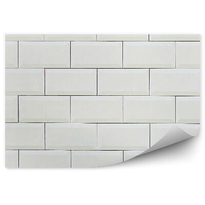 Fototapeta samoprzylepna Stary biały mur ceglany