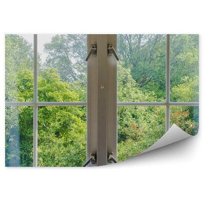 Fototapeta Drzewa las natura zieleń za oknem