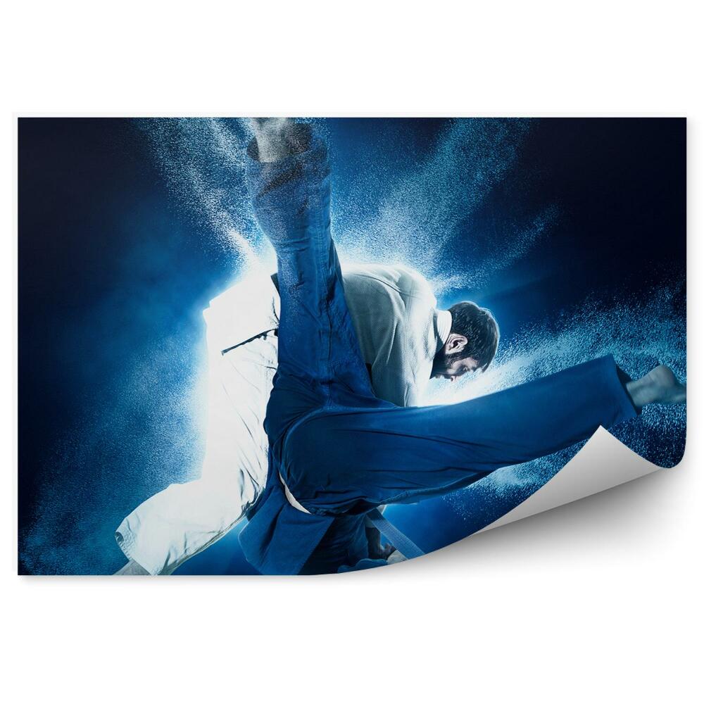Fototapeta na ścianę Rzuty ręczny judo